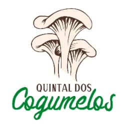 Logo da loja