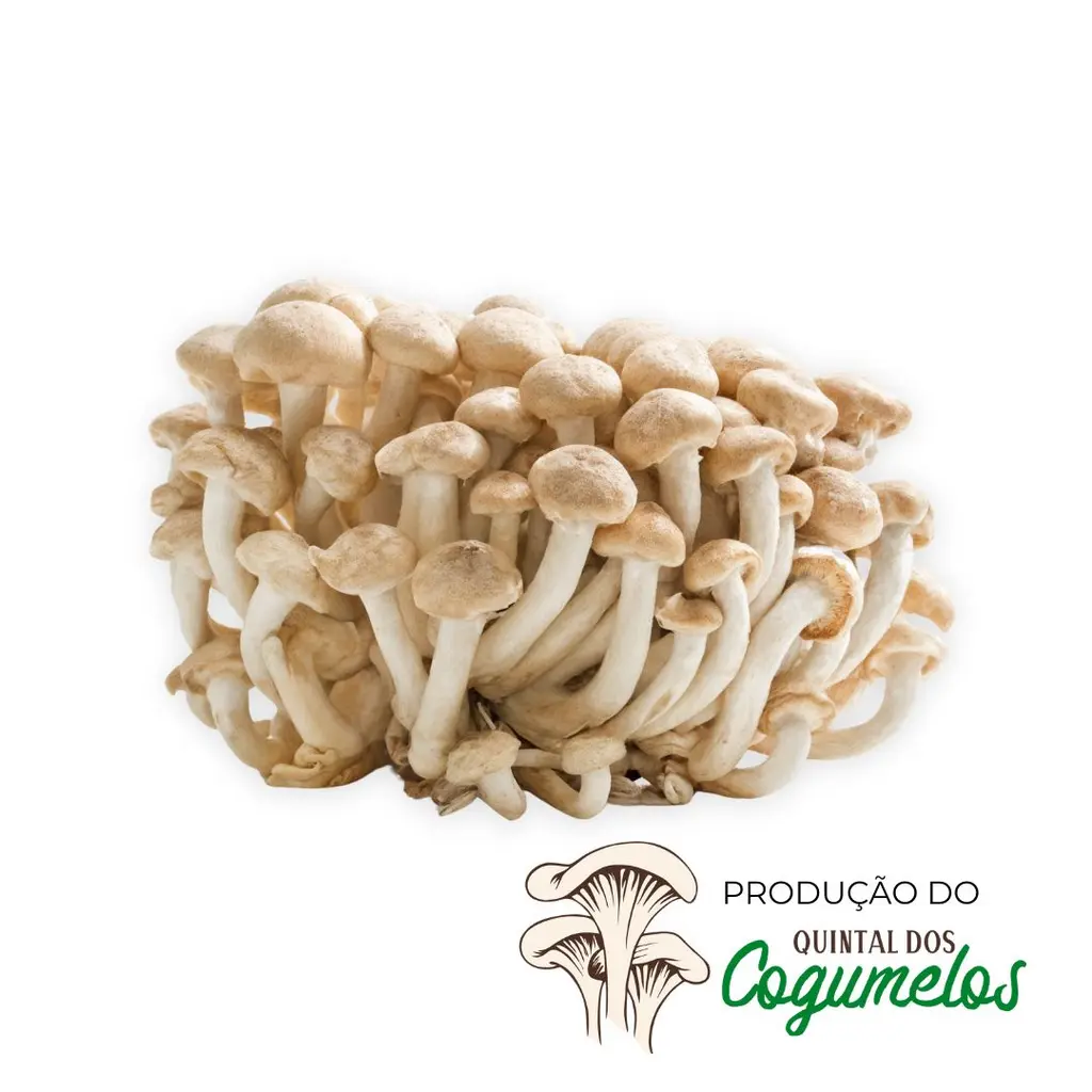 Cogumelo Shimeji 200g