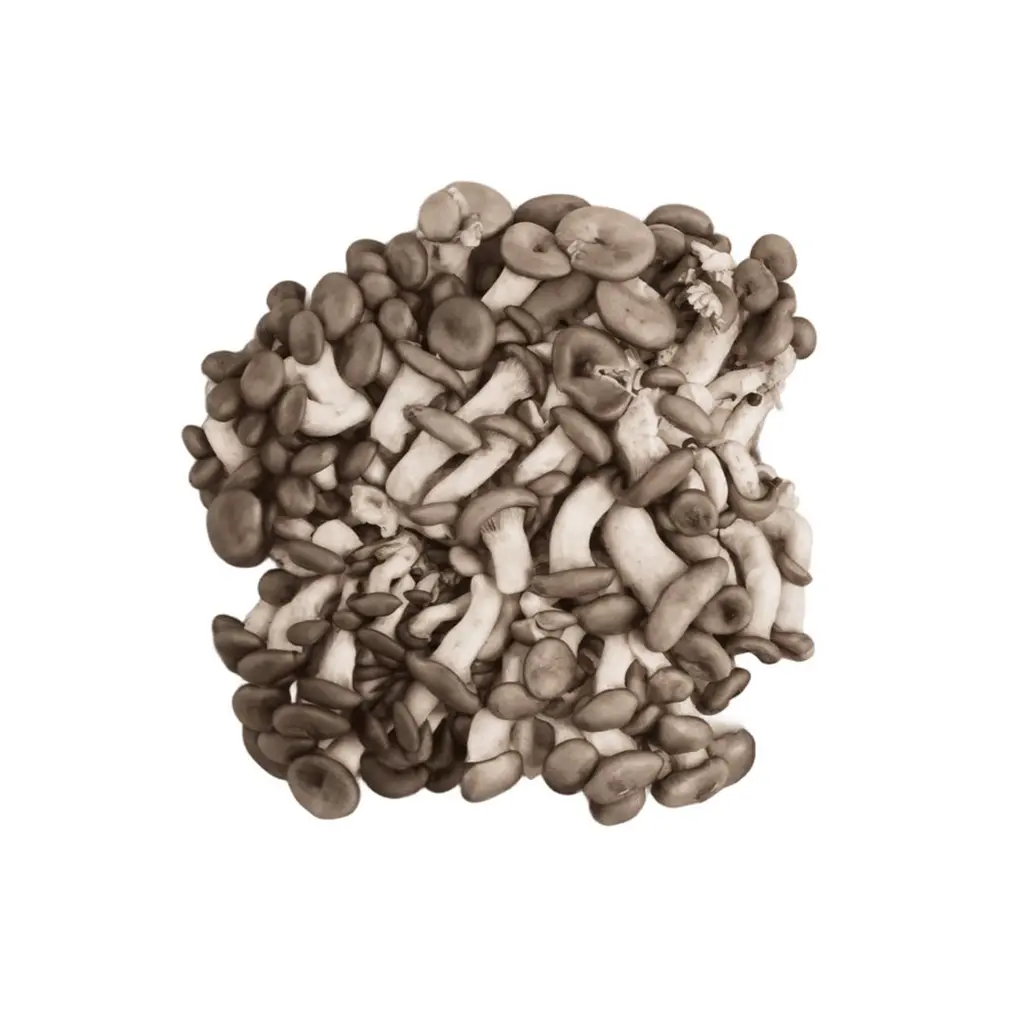 Cogumelo Shimeji Preto 200g