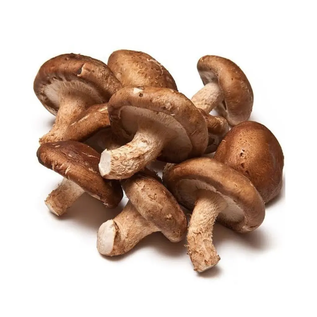 Cogumelo Shitake 200g