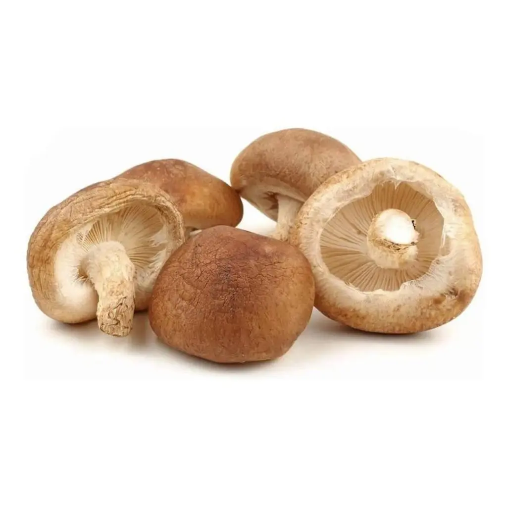 Cogumelo Shitake 500g
