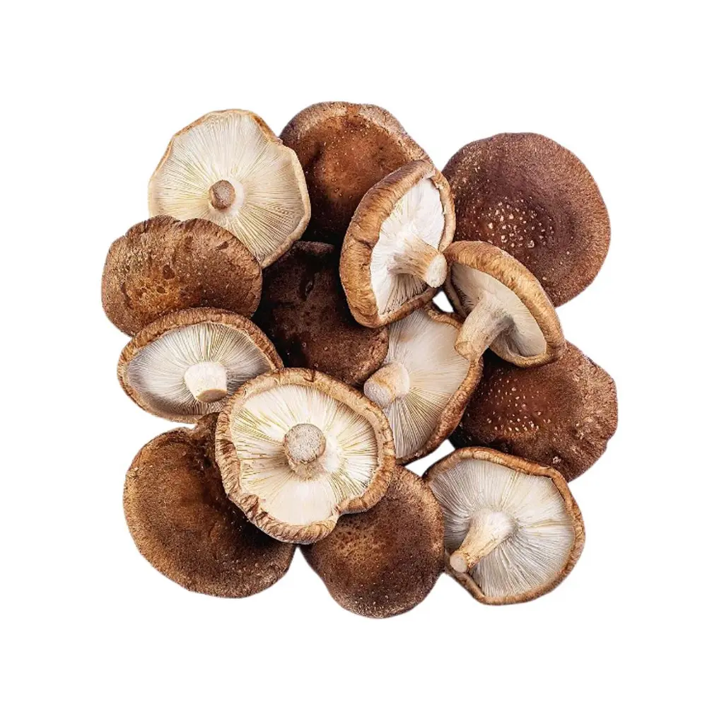 Cogumelo Shitake 1kg