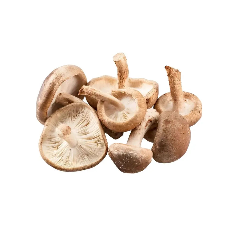Cogumelo Shitake Miúdo 1kg