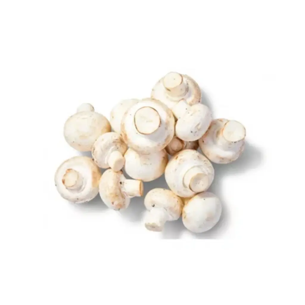 Cogumelo Paris 200g