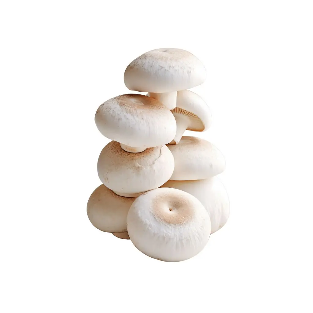 Cogumelo Paris 1kg