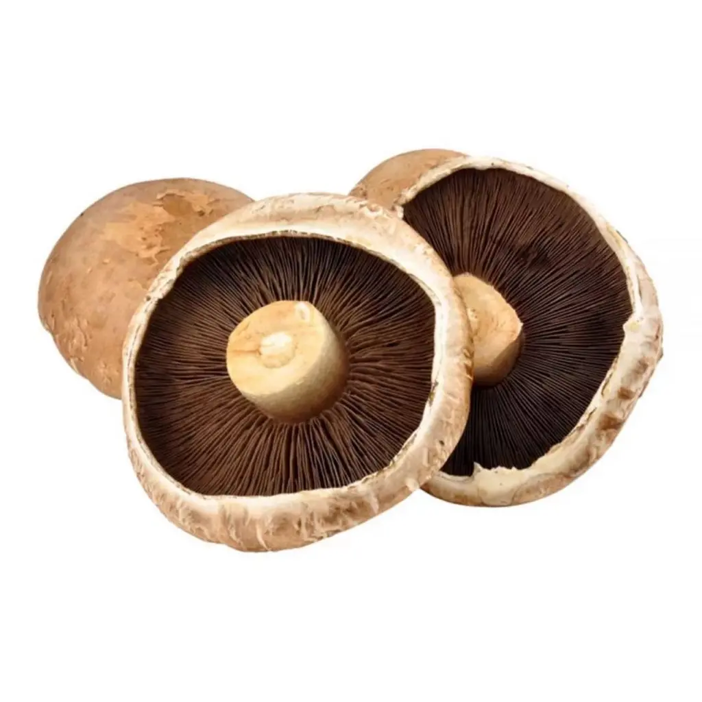 Cogumelo Portobello 200g