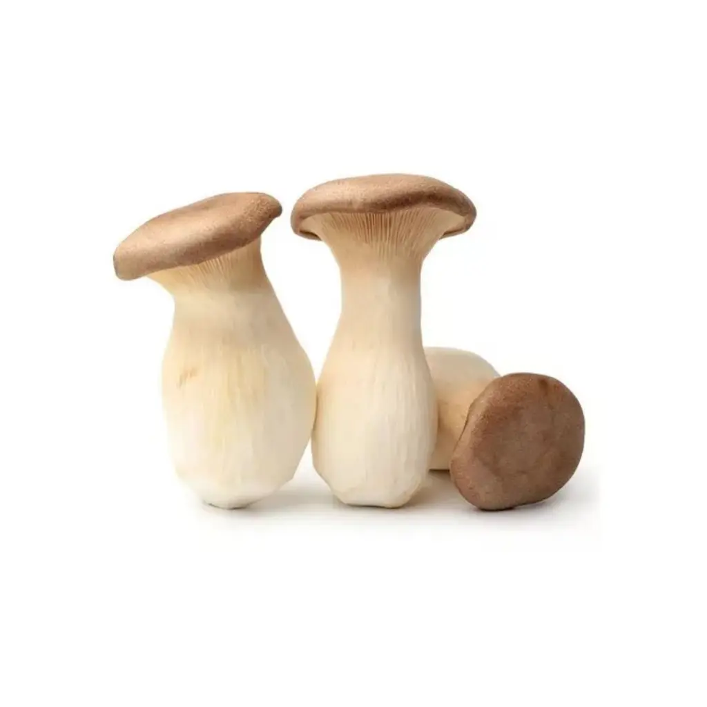 Cogumelo Eryngui 1kg
