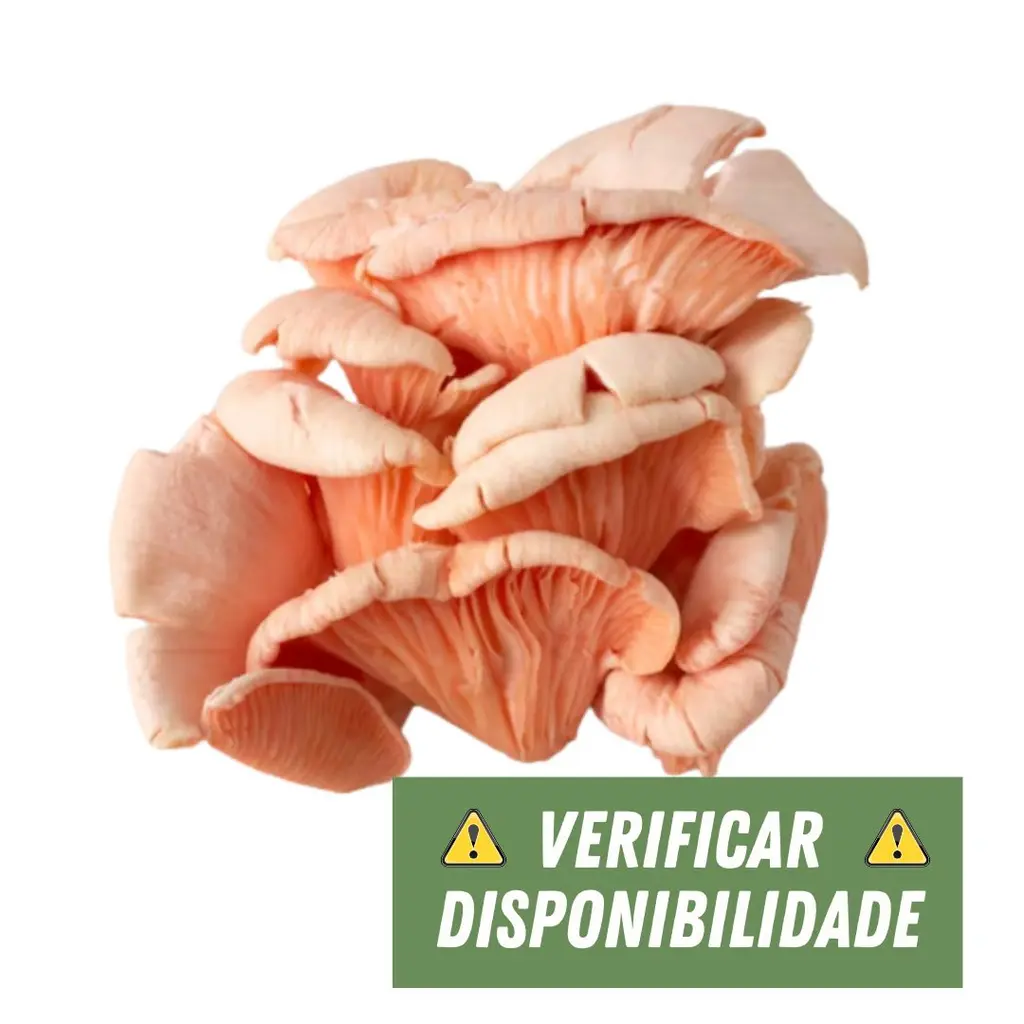 Cogumelo Salmão 200g